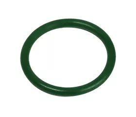 O-Ring VITON